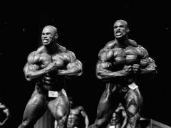 1998_olympia_review_d.jpg