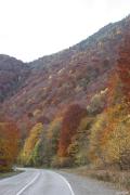 Архыззик_009.jpg