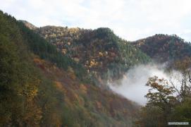 Архыззик_011.jpg