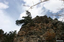 _________017.jpg