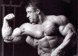 dorian_yates_wallpaper.jpg