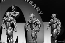 2010_Mr_O___Evening__Photographer____Comparisons_3a.jpg