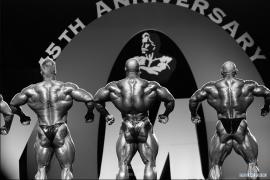 2010_Mr_O___Evening__Photographer____Comparisons_4a.jpg