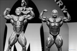 2010_Mr_O___Evening__Photographer____Comparisons_5a.jpg