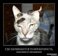 x_749654be.jpg
