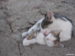 IMG_2830.JPG