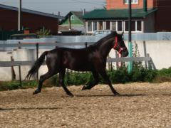 DSC05240.JPG