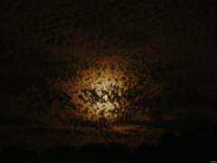 DSC05178.JPG