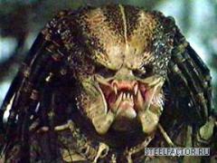 predator.jpg