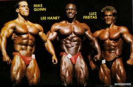 lee_quinn_88.jpg