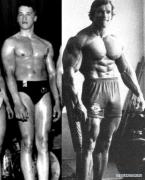 arnold.jpg