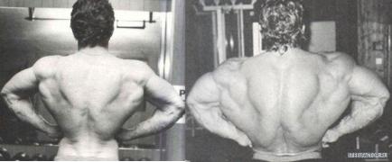 dor_back.jpg