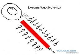 post_2_12871450036533.jpg