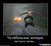 1d5990da25722589b60fd76d5c0.jpg