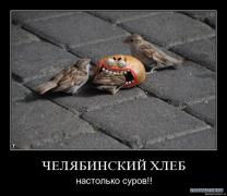 b6cf567fe053869c1b9f340129e_prev.jpg