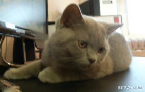 2._PA280405___28.10.2011.JPG
