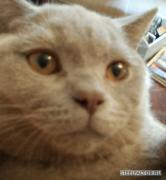 3._PA280399___28.10.2011.JPG