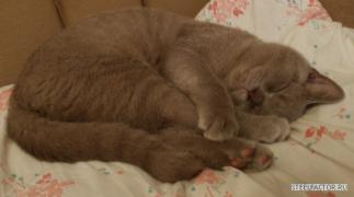 4._PA270394___28.10.2011.JPG