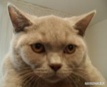 PA280397___28.10.2011.JPG