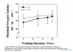 vo2max.jpg