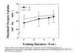 vo2max_300x214.jpg