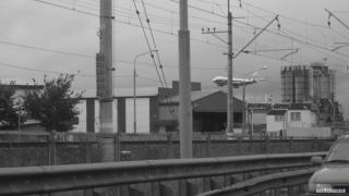 IMG_7901.JPG