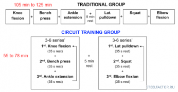 circuit_training_program.png
