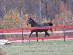 IMG_8200.jpg