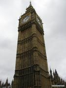 IMG_7130.JPG