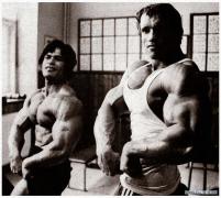 arnold_friends_insights_c.jpg