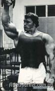 arnold_schwarzenegger_53_20110103_1228556371.jpg