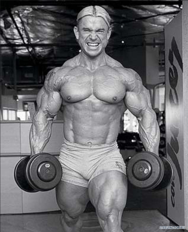 Lee Priest Bulk