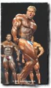 jaycutler_right_side_triceps.jpg