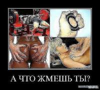 жим.jpg