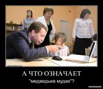 медведь.jpg