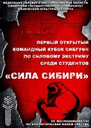 сила_сибири_медведь_1_.jpg