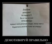u1klz9vncpk3.jpg