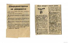 ЛОХОТРОН.jpg