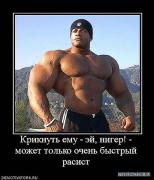 x_665102d1.jpg
