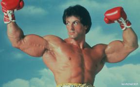 rocky_um_lutador.jpg