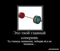 x_6646f667.jpg