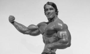 a-few-pics-of-arnold_3896.jpg