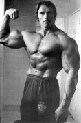 scan_arnold-schwarzenegger_016.jpg
