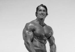 a-few-pics-of-arnold_3897.jpg