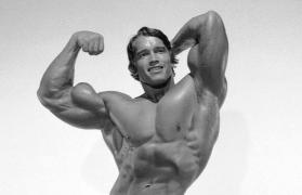 a-few-pics-of-arnold_3894.jpg