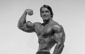 a-few-pics-of-arnold_3895.jpg