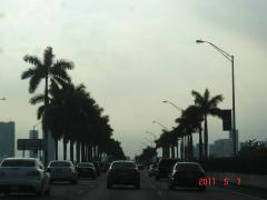 DSC05626.JPG