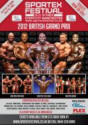2012britishgrandprix_flyer.jpg