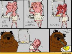 anon-Вонни-гной-жрите-152459.jpeg