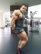 гавр окт 2012 3.jpg